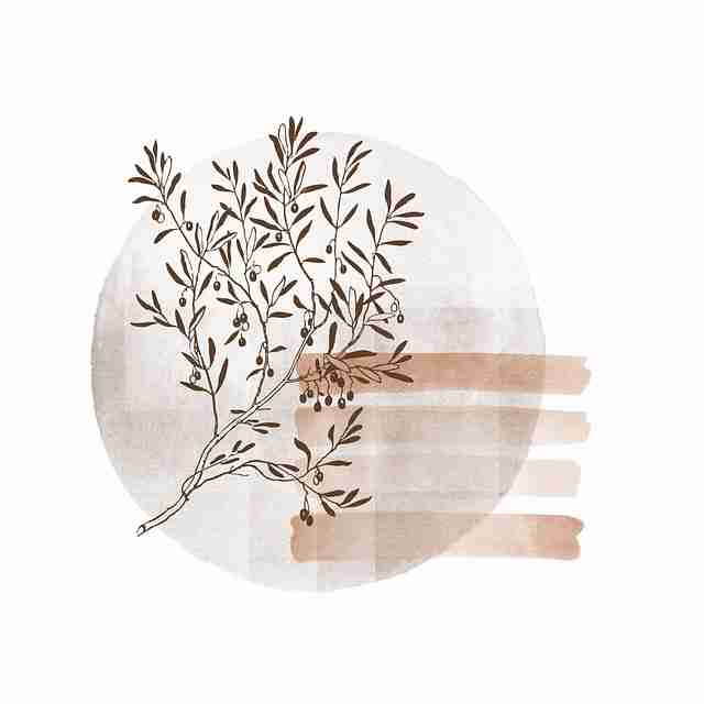 火速围观 黑料每日生存法则：终极手册